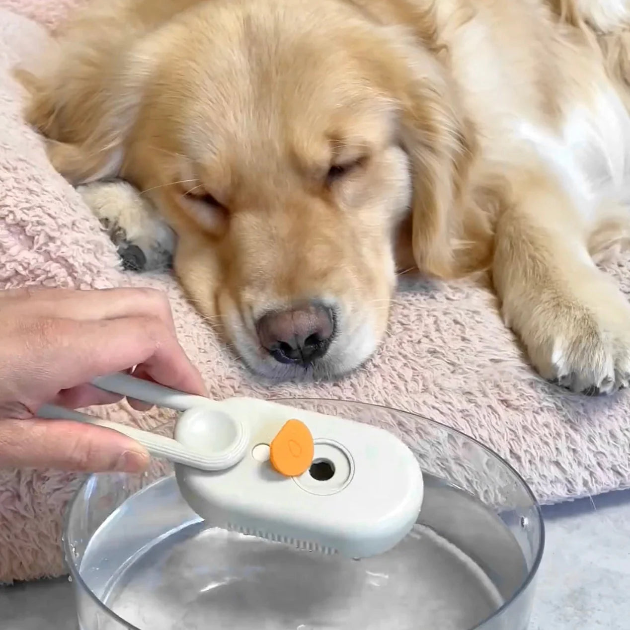 Steamy Pet Brush